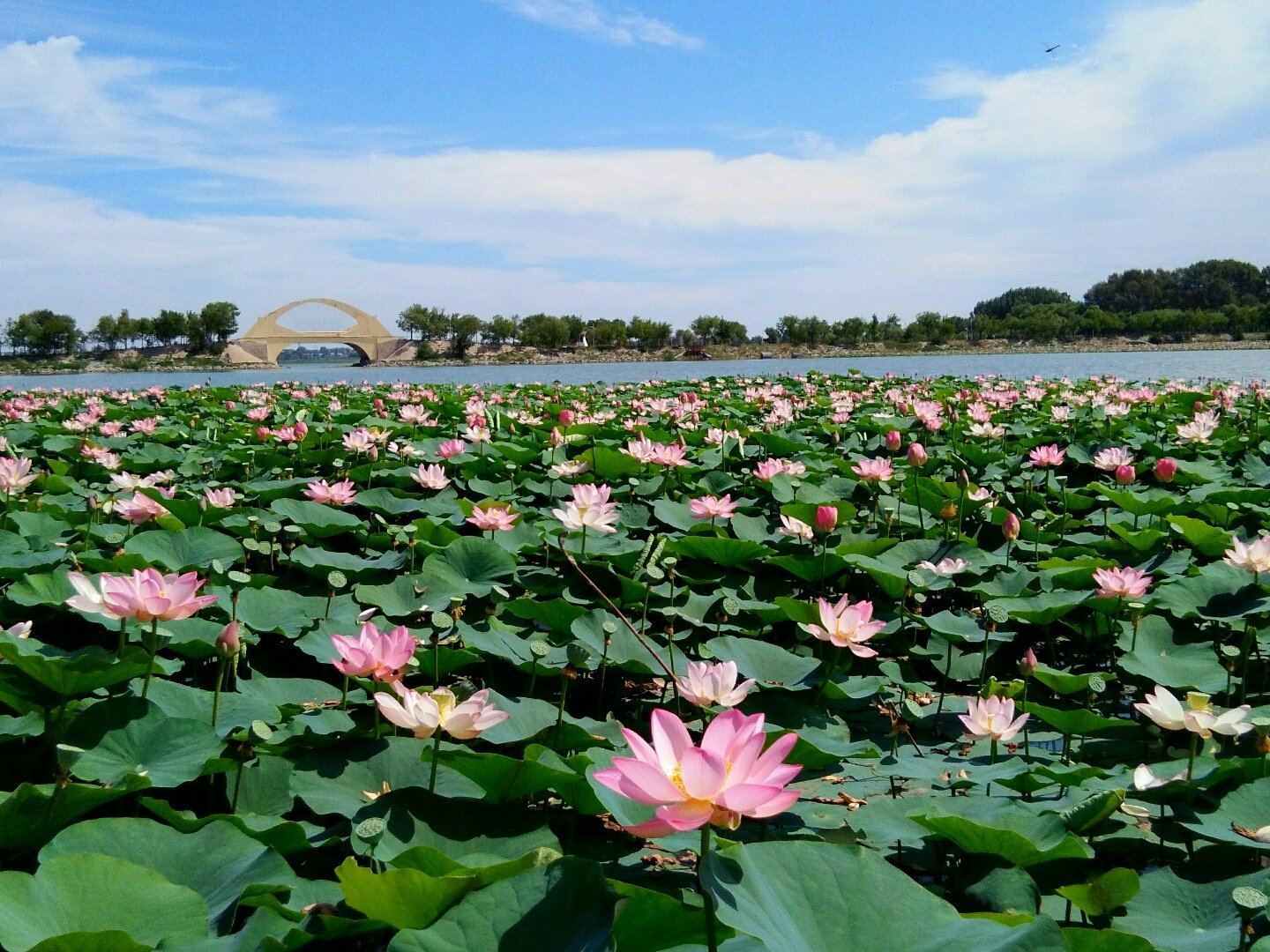 红岗天气预报