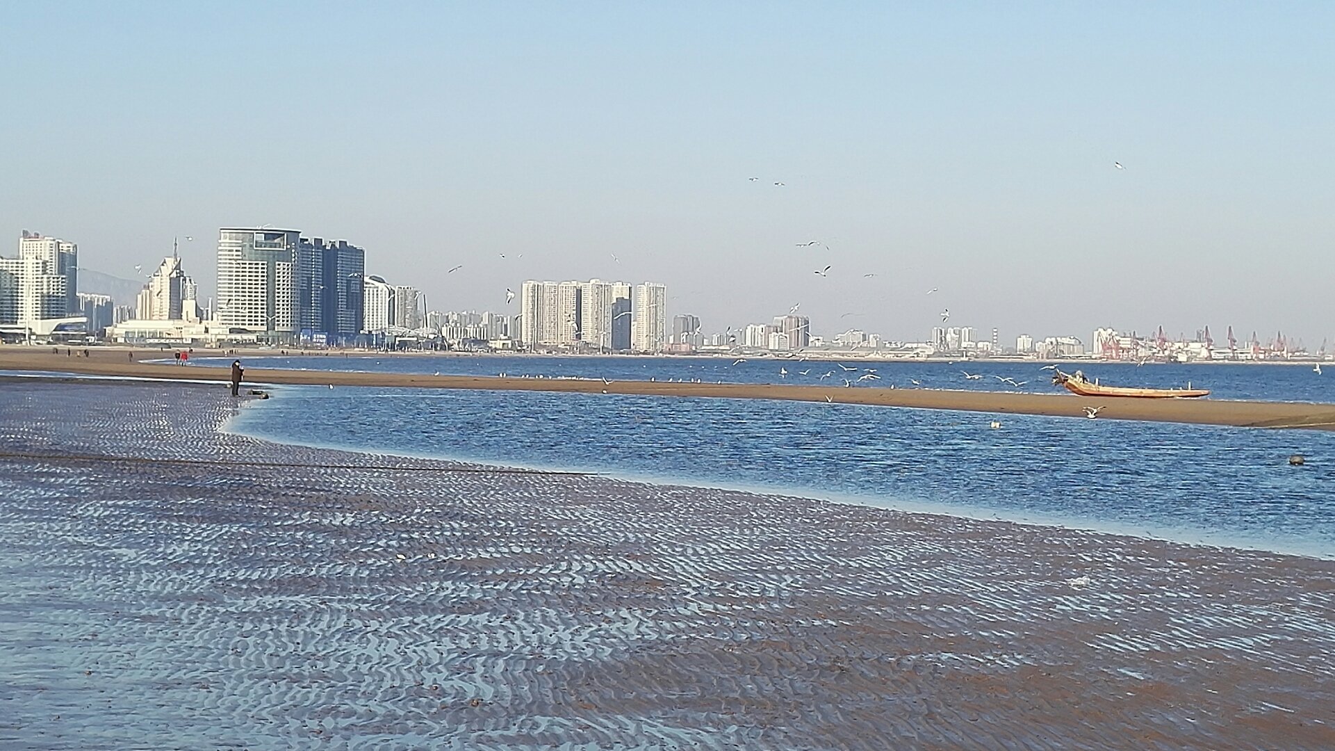 海港天气预报