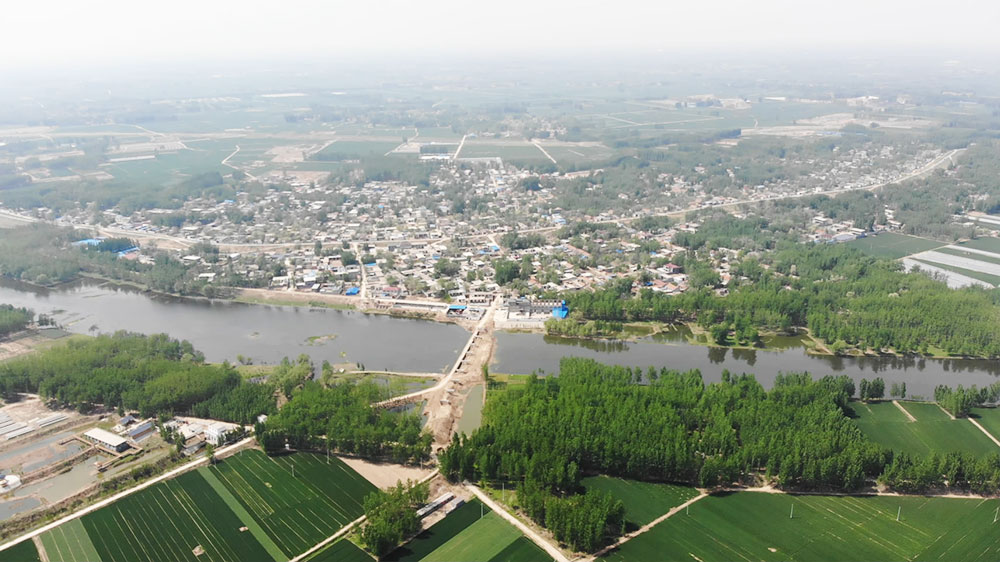 阳谷天气预报