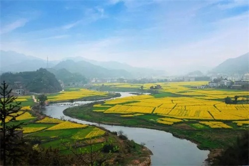 湘东天气预报