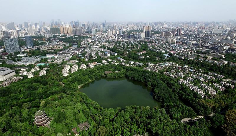 青羊天气预报