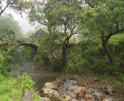 钟山天气预报