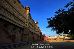 比卡内尔天气预报