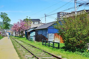 小樽市天气预报