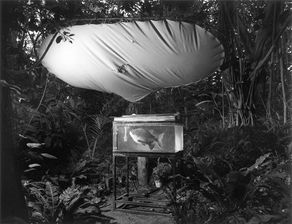 石廊崎天气预报