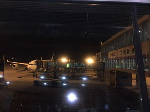 哥打机场天气预报