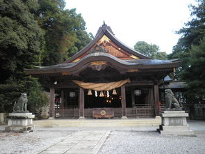 宇和岛市天气预报