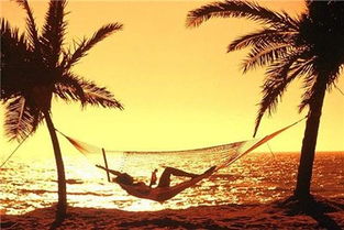 巴利亚天气预报