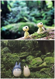 屋久岛天气预报