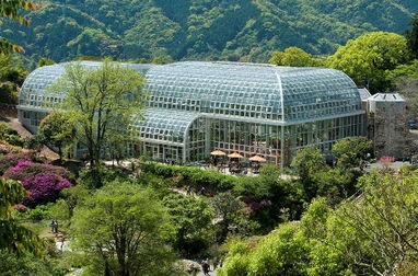 高知县天气预报