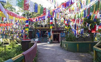 大吉岭天气预报