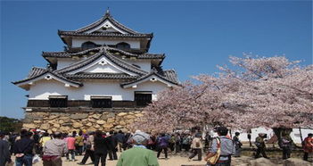 彦根市天气预报