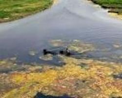 莫拉达巴德天气预报