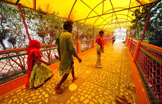 拉吉加尔天气预报