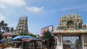 内洛尔天气预报