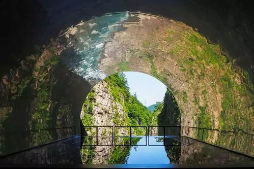 清津天气预报