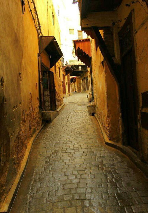 麦地那天气预报