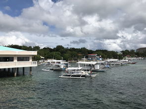 麦克坦天气预报