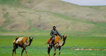 曼达勒戈壁天气预报