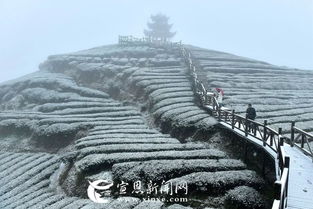 沙道天气预报