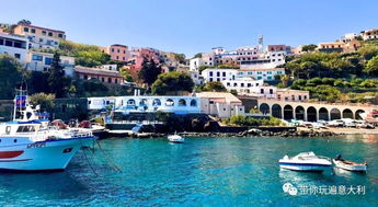 乌斯蒂卡岛天气预报