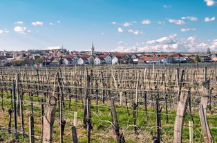 诺伊希德尔天气预报