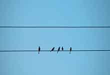 贝亚维斯塔角天气预报