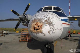 奥列尼奥克天气预报