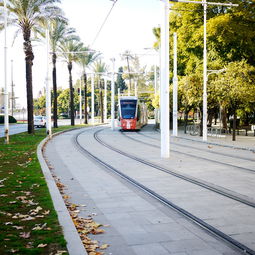 塔里法天气预报