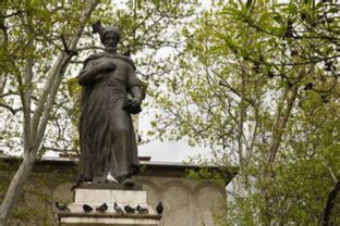 福克沙尼天气预报