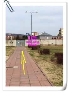 尼什天气预报