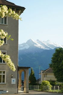 阿尔特多夫天气预报