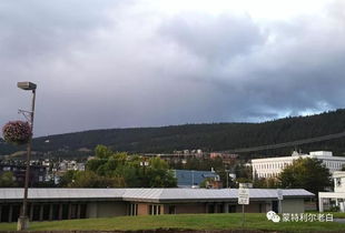 威廉姆斯湖天气预报