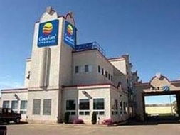 约克顿天气预报