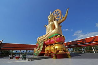 苏梅天气预报