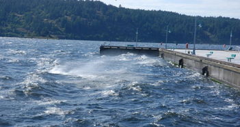 阿尔伯尼港天气预报