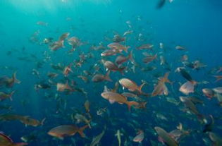 圣克里斯托巴尔岛天气预报