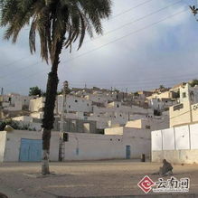 贾奈特天气预报