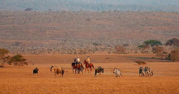 马萨比特天气预报