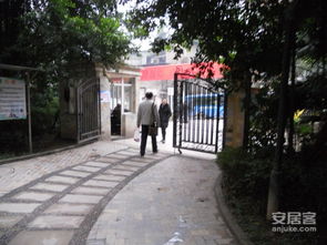 金杜天气预报