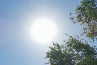 布伦海姆机场天气预报