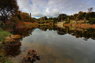 沃克沃思天气预报