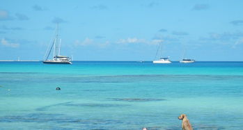 罗阿岛天气预报