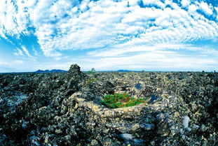 五大连池天气预报