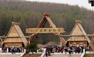 哈尔滨天气预报