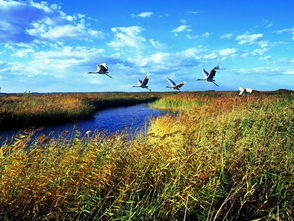 齐齐哈尔天气预报