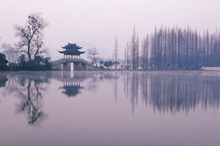 杭州天气预报