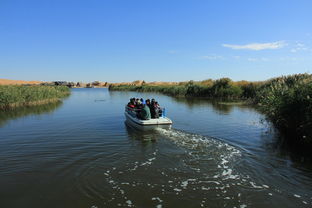 阿左旗天气预报