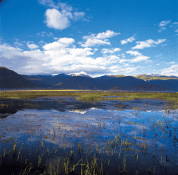 香格里拉天气预报