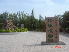 吐鲁番天气预报